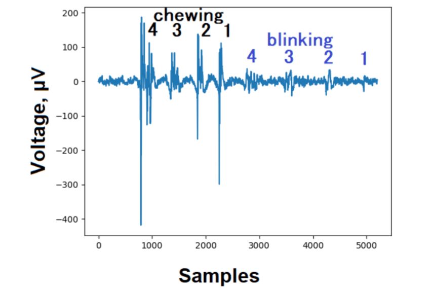 Chewing and blinking artifacts recorded with ardEEG