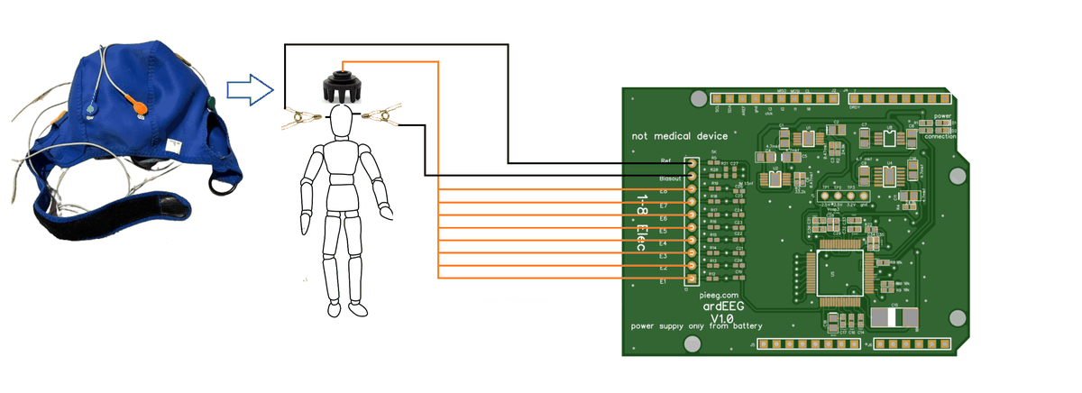 Wiring of channels 1–8, reference and bias