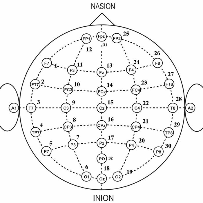 IronBCI-32 32-channel electrode layout on the 10-20 system