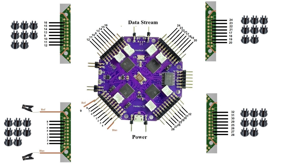 IronBCI-32 wiring: four headers with electrodes, reference and bias