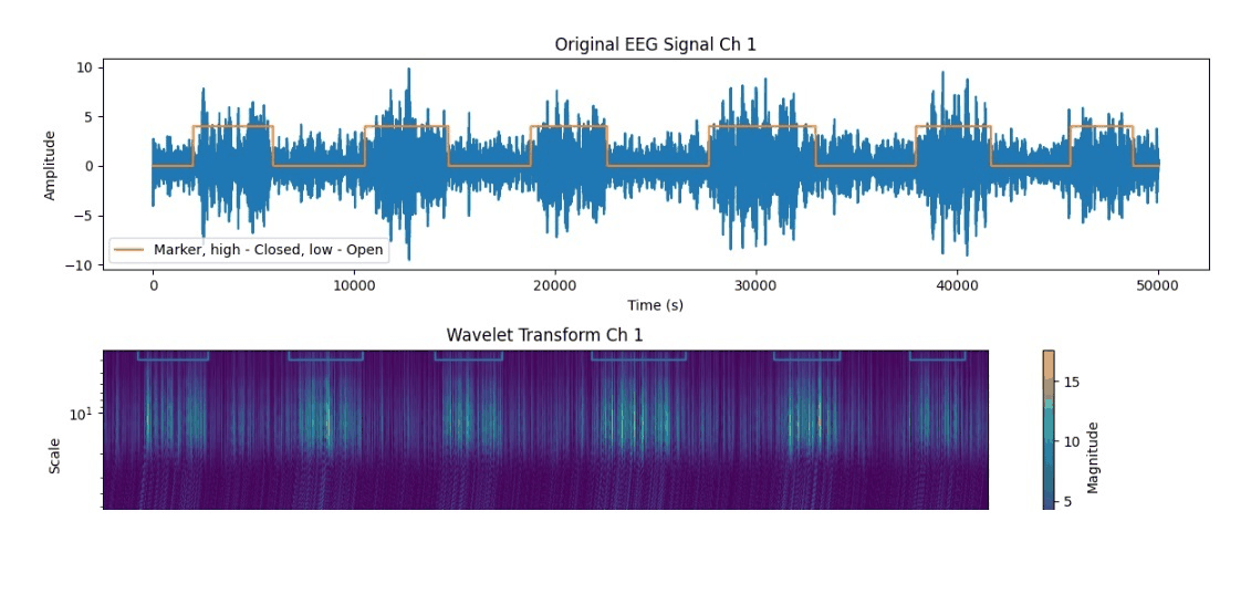 Alpha rhythm test with IronBCI-8 and wavelet transform