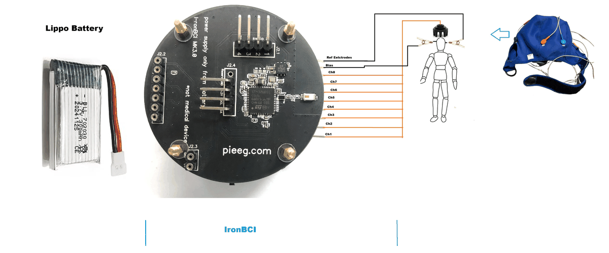 Electrode, reference and bias connections