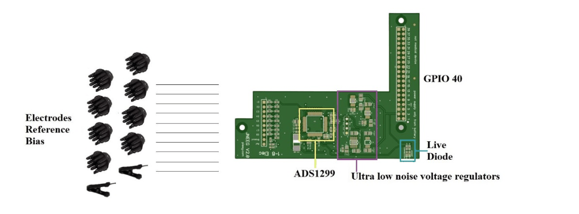 Electrodes, reference and bias on the JNEEG header