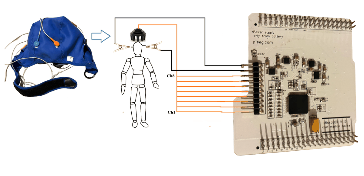 Wiring of channels 1–8, reference and bias