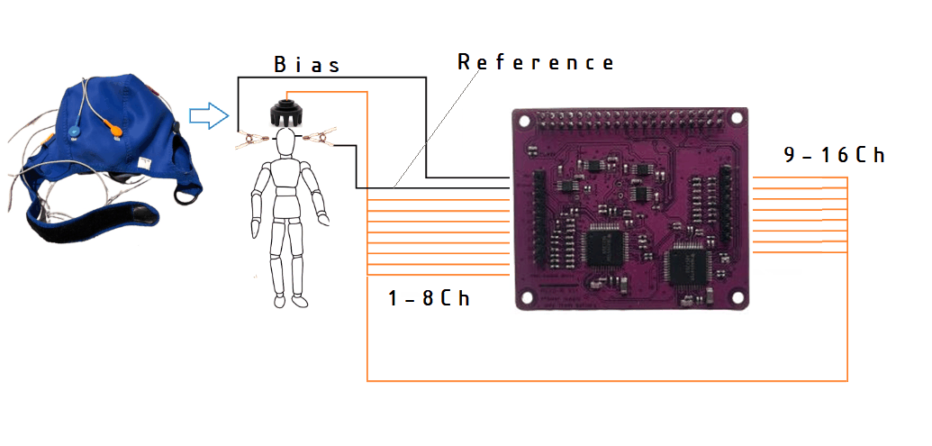 Wiring of channels 1–16, reference and bias